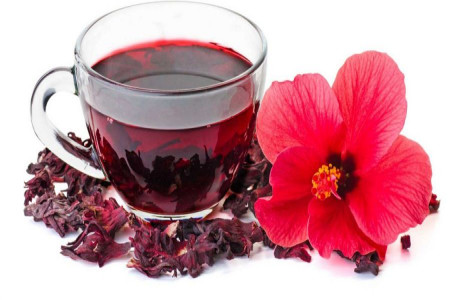 روش کاشت گیاه چای ترش و نحوه برداشت آن