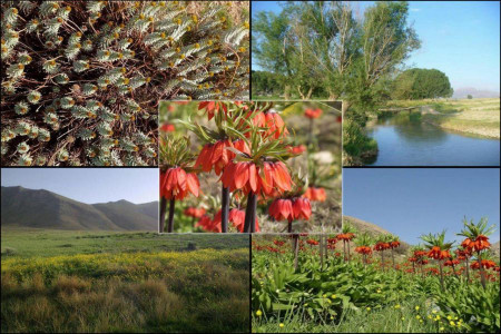 جاذبه های گردشگری و مناطق دیدنی فریدن