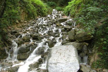 مناطق دیدنی و گردشگری شهر رویان
