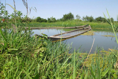 آشنایی با جاذبه های گردشگری و تفریحی زیباکنار