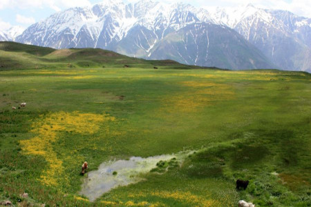 آشنایی با مناطق دیدنی طبیعت قزوین