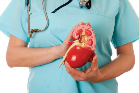 علت بالا و پایین بودن Renal Calculi در آزمایش سنگ های مجاری ادرار