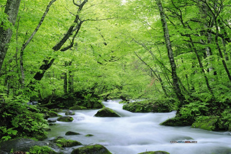 در تابستان کدام شهر های ایران خنک میمانند؟