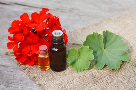 30 خاصیت اثبات شده روغن شمعدانی برای سلامت بدن