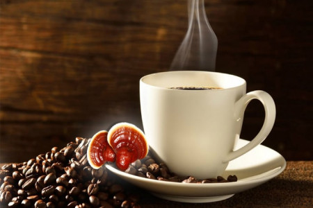 قهوه گانودرما چیست ؟ آشنایی با خواص قهوه گانودرما