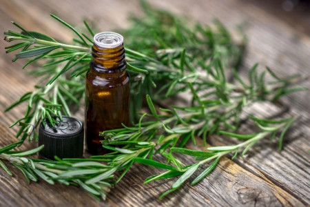 خواص روغن رزماری : 21 خاصیت اثبات شده روغن رزماری برای سلامت بدن