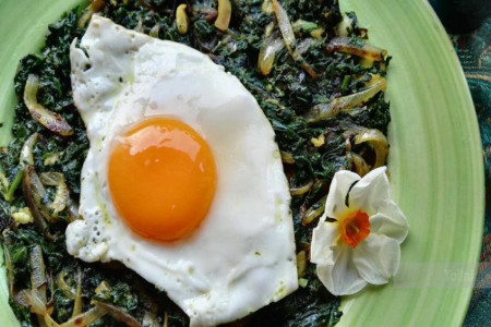 طرز تهیه نرگسی اسفناج خوش طعم و ایده آل