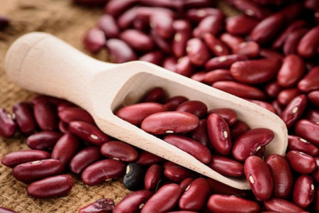 با خواص لوبیا آشنا شوید