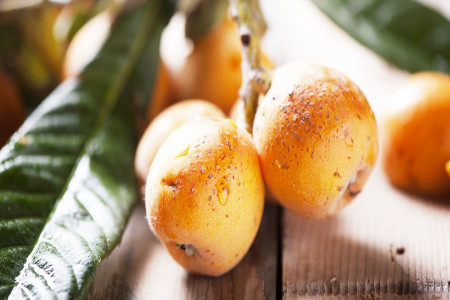 رب ازگیل وحشی و خواص آن