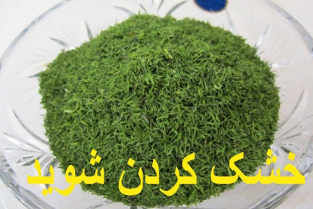 چطور در خانه شوید خشک کنیم؟