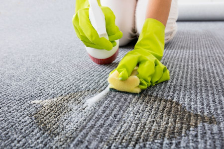 درصورت ریختن استفراغ روی فرش چه باید کرد؟