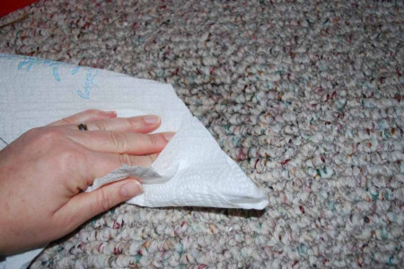 آموزش پاک کردن لکه اسلایم ( خمیر بازی ) از روی فرش