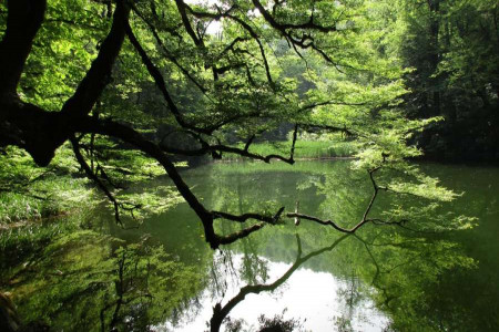 اطلاعات کامل در مورد دریاچه فراخین