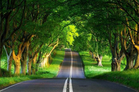 همه چیز در مورد انجمن معتادان گمنام