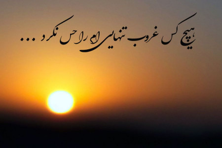 شعر دلتنگی و کبوتر حرم غروب روز دلگیری دلم غرق پریشانی از علیمی