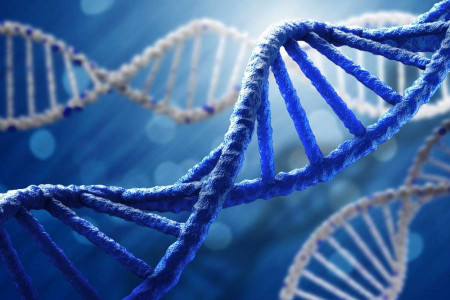 DNA چیست ؟ همه چیز درباره دی ان ای