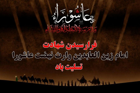 تاریخ شهادت امام زین العابدین (ع)