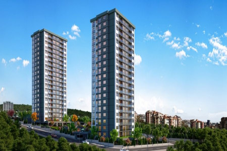 ملک مشاع چگونه تقسیم میشود ؟