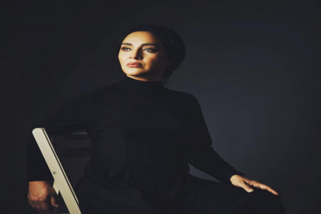 بیوگرافی رویا نونهالی جزئیات زندگی او با همسرش دلگرم