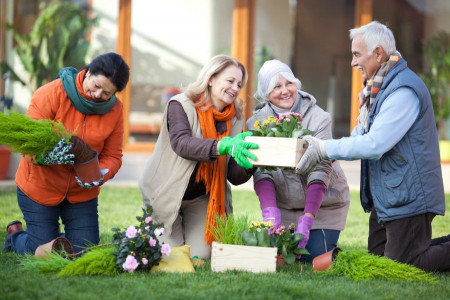 فعالیت های فیزیکی و ذهنی سرگرم کننده برای سالمندان