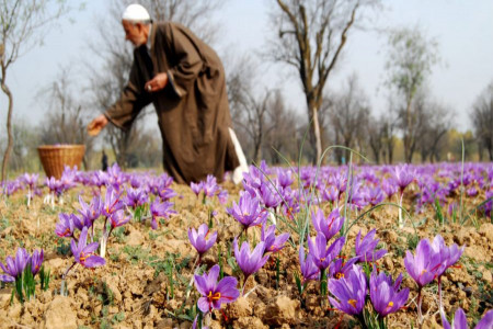 تصاویر دیدنی روز