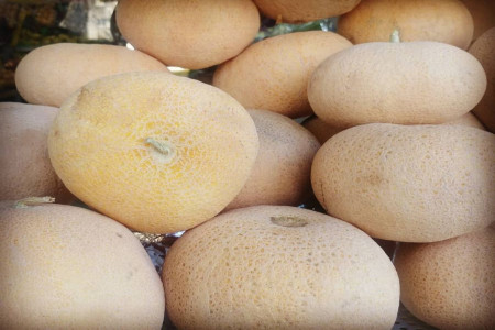 خواص گرمک : 5 خاصیت شگفت انگیز میوه گرمک