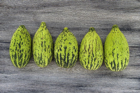میوه کمبوزه چیست ؟