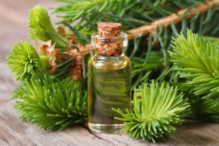 خواص روغن سدر : 27 خاصیت روغن چوب سدر برای زیبایی و سلامتی بدن
