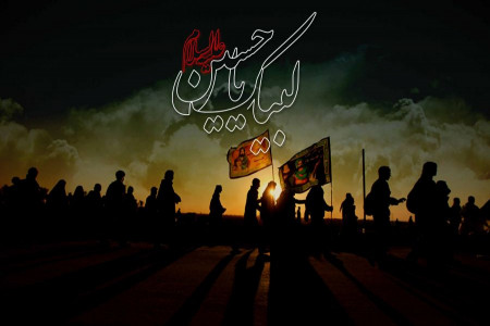 چرا فقط امام حسین اربعین دارد ؟