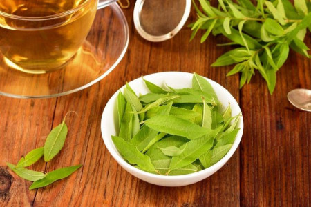 تاثیر شگفت انگیز به لیمو در کاهش فشار خون + خواص این گیاه