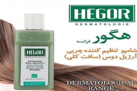 معرفی شامپوهای برتر برند HEGOR