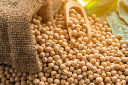 آشنایی با کالری، ارزش غذایی و خواص لوبیا سویا