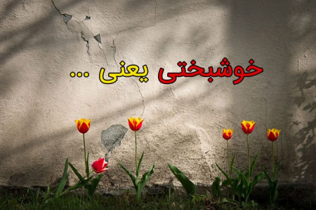 مجموعه برتر جملات انگیزشی ناب درمورد خوشبختی