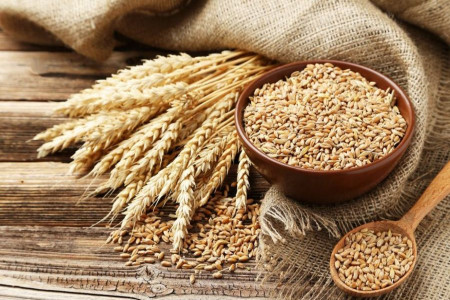 آشنایی با کالری، ارزش غذایی و خواص گندم و سبوس گندم