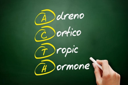 هورمون آدرنوکورتیکوتروپین یا ACTH چیست ؟