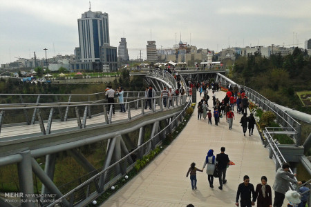 تصاویر پل طبیعت تهران
