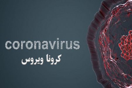 ویروس کرونا: همه آنچه که باید از کرونا بدانید !