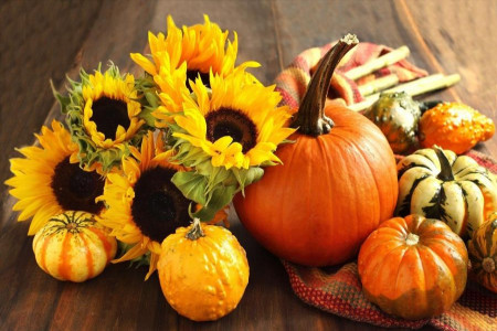 چگونه با کدو حلوایی وزن کم کنیم؟