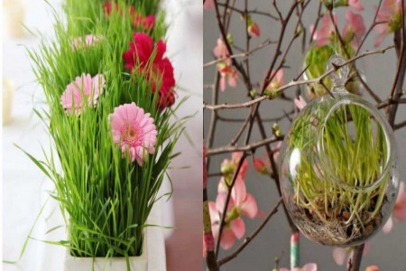 تزیین سبزه برای عید نوروز مناسب سفره هفت سین امسال