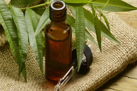 نحوه استفاده از روغن درخت چای برای درمان جوش و آکنه