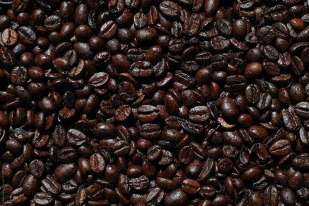 دیدن سگ در فال قهوه چه معنایی دارد ؟