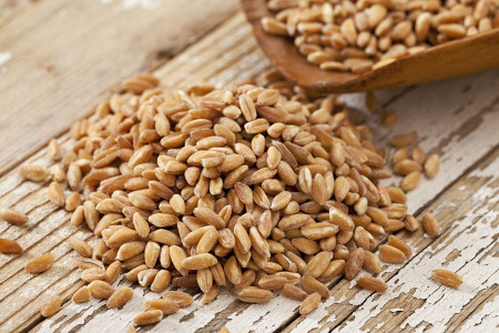 فارو (دانه گندم سنتی) چیست و چه خواصی دارد ؟