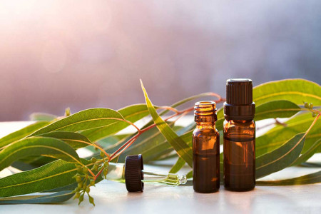خواص روغن اکالیپتوس