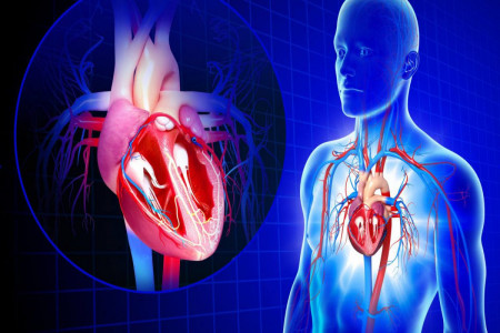 راههای جلوگیری از نارسایی قلبی در اثر حمله قلبی