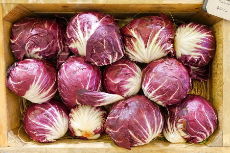 موارد استفاده و خواص کاسنی فرنگی قرمز یا آندیو