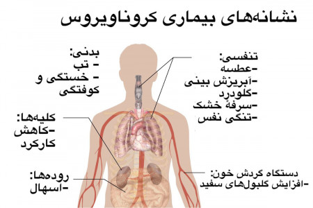 علائم و نشانه های کرونا به چه ترتیبی ظاهر می شوند ؟