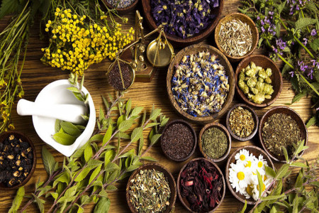 ۴ داروی گیاهی موثر در مقابله با ویروس کرونا