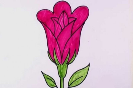 نقاشی گل : 50 طرح گل برای رنگ آمیزی کودکان