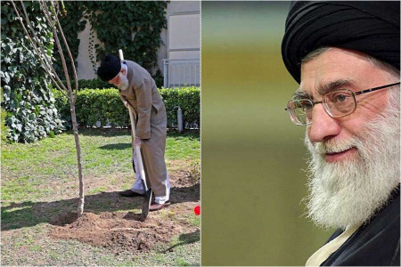 درخت کاشتن رهبری