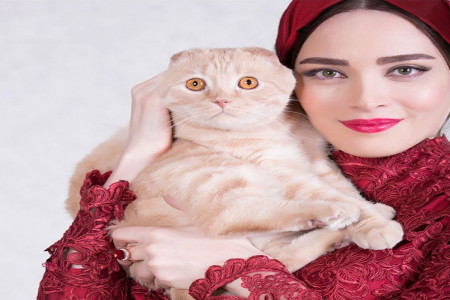 گربه ی بهنوش طباطبایی یک تئاتر را به تعطیلی کشاند